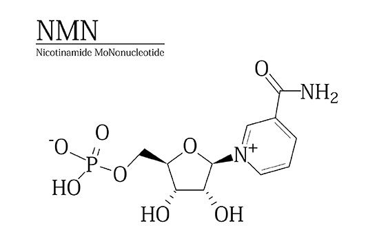 NMN化学式画像